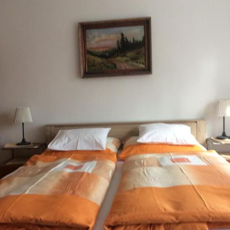 טרוטנוב Apartman Namesti Horniku מראה חיצוני תמונה