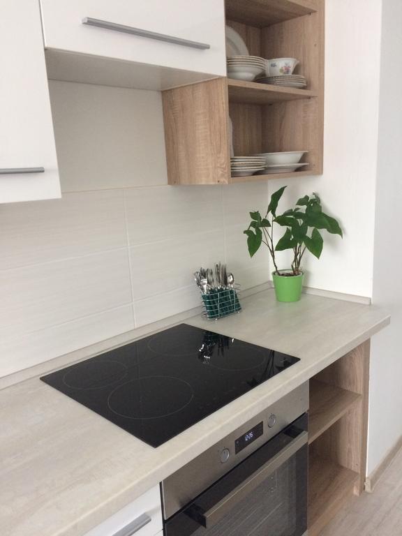 טרוטנוב Apartman Namesti Horniku מראה חיצוני תמונה