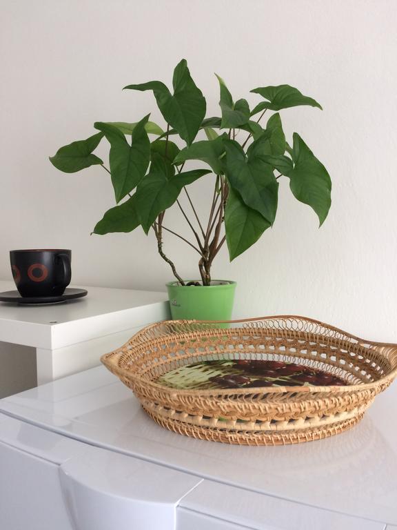 טרוטנוב Apartman Namesti Horniku מראה חיצוני תמונה