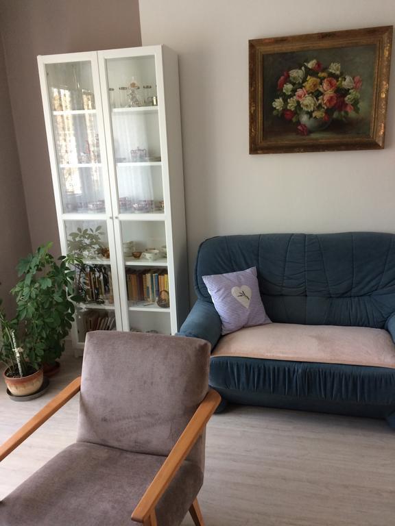 טרוטנוב Apartman Namesti Horniku מראה חיצוני תמונה