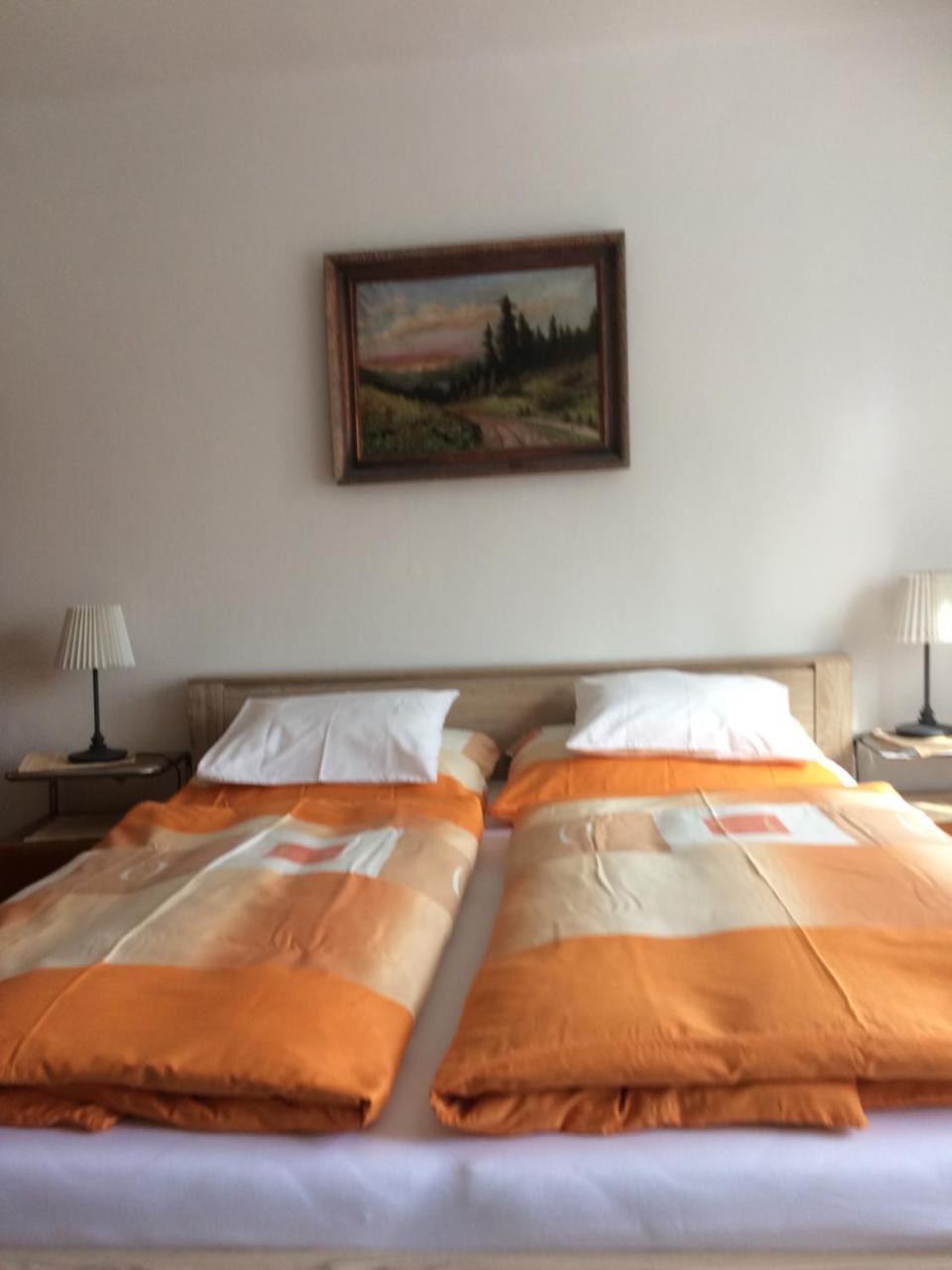 טרוטנוב Apartman Namesti Horniku מראה חיצוני תמונה